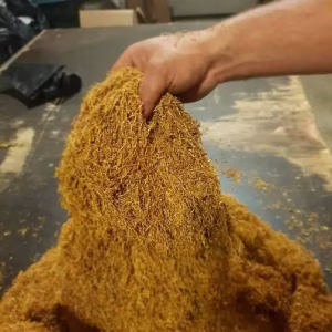 Tutun Firicel la Galeata sau Punga